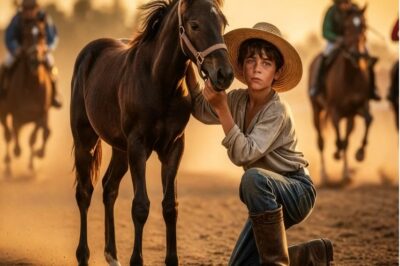 El Hijo del Granjero Encontró un Potro Abandonado — Nadie Imaginó lo que Pasaría