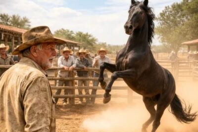 “ESE CABALLO NO SIRVE” — DIJO EL HACENDADO… HASTA QUE EL PEÓN VIEJO ENTRÓ AL CORRAL