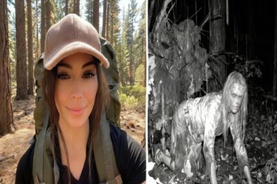 Mujer desapareció en Sequoia — 2 años después cámara trampa la captó… Estaba TOTALMENTE SALVAJE