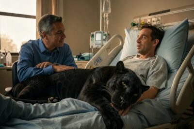 La pantera entró al hospital de la ciudad: lo que traía entre sus garras dejó a los médicos en shock