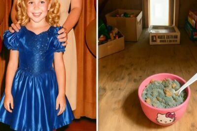 Niña modelo desapareció en 1994 — 3 años después, tazón en ático revela la verdad…