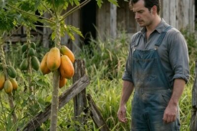 Tras ser expulsado de su casa sin nada, compró una finca con unos pocos papayos y decidió no rendirse.