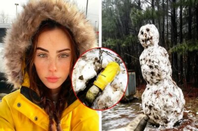 Desaparecida en California: 3 días después, un muñeco de nieve se derrite y revela ESTO…