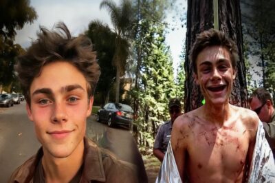 Joven Desapareció En Yosemite: Hallado En Un Árbol Tras 3 Años. SIN DIENTES Y SONREÍA…