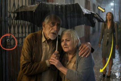 Millonaria Encuentra a Sus Padres Abandonados Bajo la Lluvia… Su Reacción Dejó a Todos en Shock