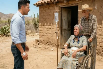 El Hijo Volvió a Casa Después de Recibir un Trasplante… y Vio a Su Madre en una Silla de Ruedas