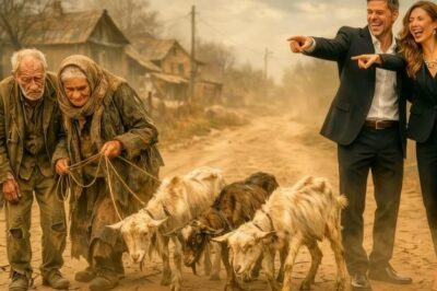 El Millonario Se Burló de Dos Ancianos y Les Pagó con Cabras Viejas… ¡Lo que Hizo Enfureció a Todos!