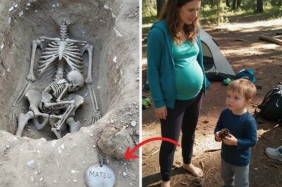 She Took Her Little Boy Camping for One Last Quiet Weekend Before the Baby Came—Four Years Later, the Forest Gave Them Back