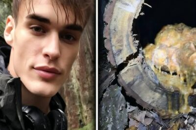 Senderista Desapareció En Secuoyas — Hallado 10 Años Después PRESERVADO En Resina…