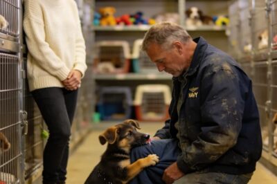 The Shelter Puppy Chose the “Wrong” Navy SEAL… Until He Understood Why