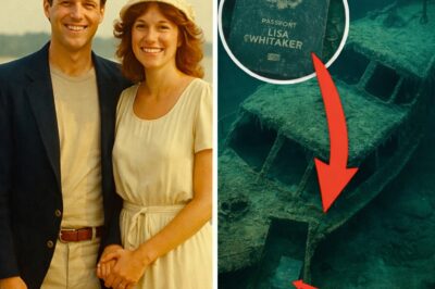 Couple Vanishes on Honeymoon Cruise in 1985 — 35 Years Later, Divers Discover THIS