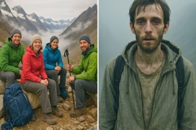 Hikers vanished in the Andes Mountains, 5 years later one reappeared with a story no one believed