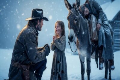 “Señor… Si Vienen, Por Favor Esconda a Mi Mamá” Lloró — La Respuesta del Ranchero Fue Inquebrantable