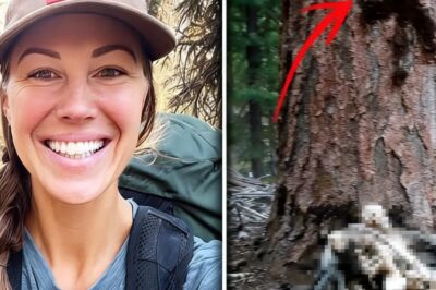 Senderista Sola Desapareció En Los Bosques De Idaho – 3 Años Después Bajo ÁRBOL MARCADO “X”…