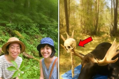 Botánicas desaparecieron en Alaska, 9 años después esto se encuentra en astas de alce…