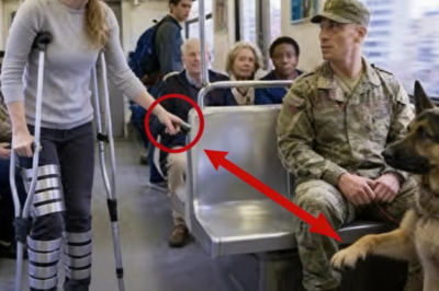 “¿Está ocupado?” chica discapacitada se sienta — el perro del SEAL entra en alerta total 