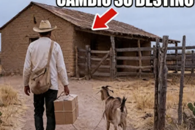 Volvió al Rancho ABANDONADO donde su Padre murió SOLO… pero una Cabra Perdida CAMBIÓ su DESTINO 