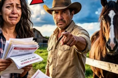 QUERÍAN VENDER EL CABALLO POR $500… EL PEÓN HUMILDE SABÍA QUE VALÍA UNA FORTUNA Y NADIE LE CREYÓ 