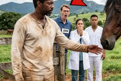 PEÓN ANALFABETO SALVÓ AL CABALLO MÁS VALIOSO DE LA HACIENDA… Y CONQUISTÓ EL CORAZÓN DE LA VIUDA  