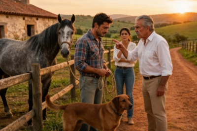 LO ECHARON CON 412 EUROS Y UN CABALLO COJO: 7 AÑOS DESPUÉS VOLVIÓ Y COMPRÓ LA MISMA FINCA  