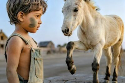 CUENTO DEL RANCHO: EL CABALLO QUE NADIE QUISO Y EL JOVEN SIN HOGAR QUE HIZO…