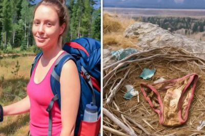 Excursionista desapareció en Grand Teton; 11 meses después hallan esto en un nido de águila…