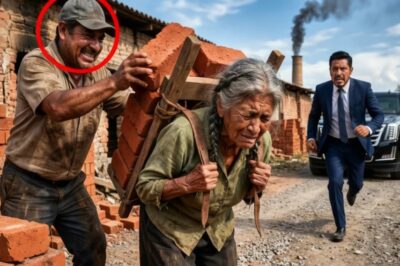 Regresó MILLONARIO y encontró a su madre cargando ladrillos… lo que hizo después hizo llorar a todos