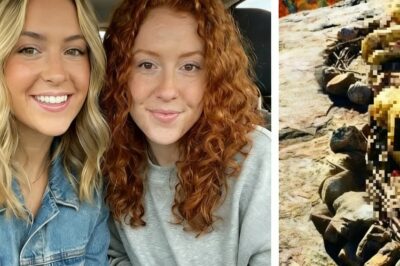 Dos hermanas desaparecieron en los Apalaches 9 meses después, un dron capturó algo increíble