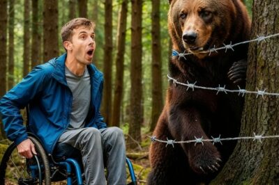 Un Oso Le Rogo Que Le Retire La Trampa, Pero El Niño Discapacitado Hizo Algo Mas Que Ayudarlo