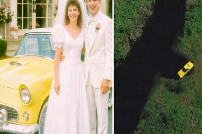 Pareja desapareció tras su boda en 1985 – 12 años después, imagen satelital revela esto…