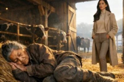 Una ANCIANA Fue Descubierta Durmiendo en un ESTABLO… y lo que Hizo la HEREDERA Sacudió la HACIENDA