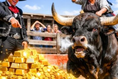 ¡100 KILOS DE ORO PARA QUIEN DOME ESE TORO! DIJO EL PATRÓN… PERO LO QUE PASÓ DESPUÉS FUE