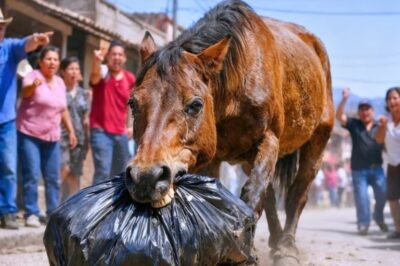 ÉL ARRASTRABA ESA BOLSA LLORANDO EN SILENCIO… CUANDO LA ABRIÓ, TODO EL PUEBLO QUEDÓ SIN PALABRAS